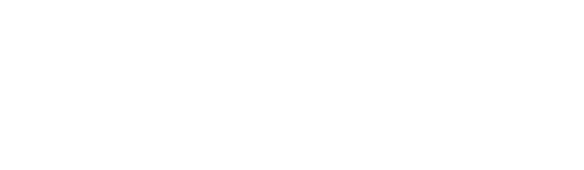 El Palacio de Hierro 1800 milenio.