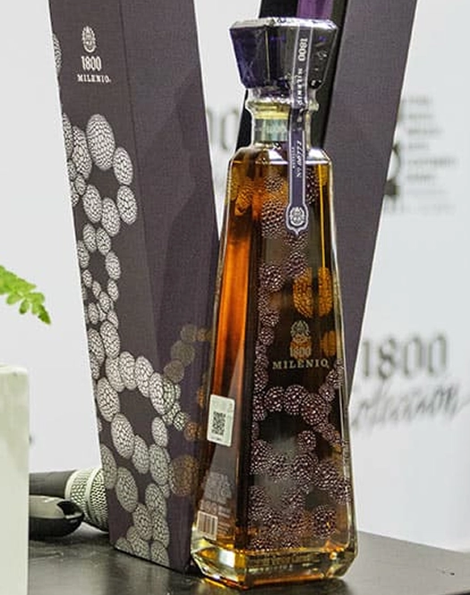 Fernando García Correa 2.