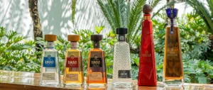 dia del tequila 1800